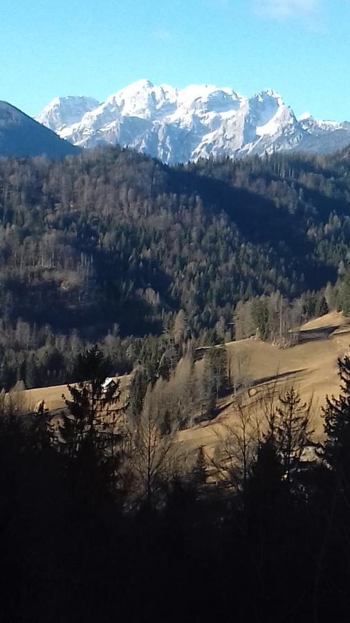 Апартаменты Apartma Podlogar Golica Triglav Есенице Экстерьер фото