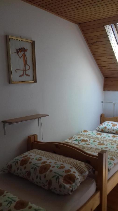 Апартаменты Apartma Podlogar Golica Triglav Есенице Экстерьер фото